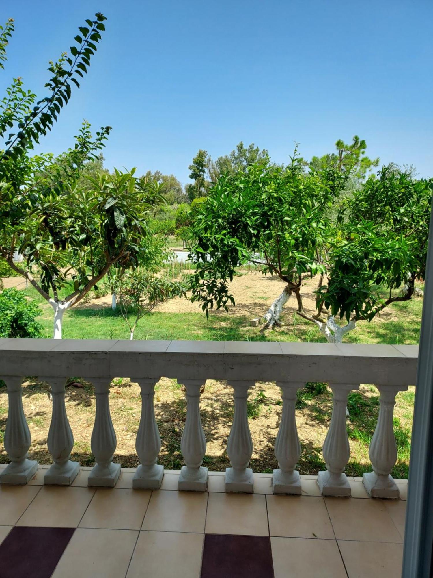 Canditas Studios Tsilivi  Bagian luar foto