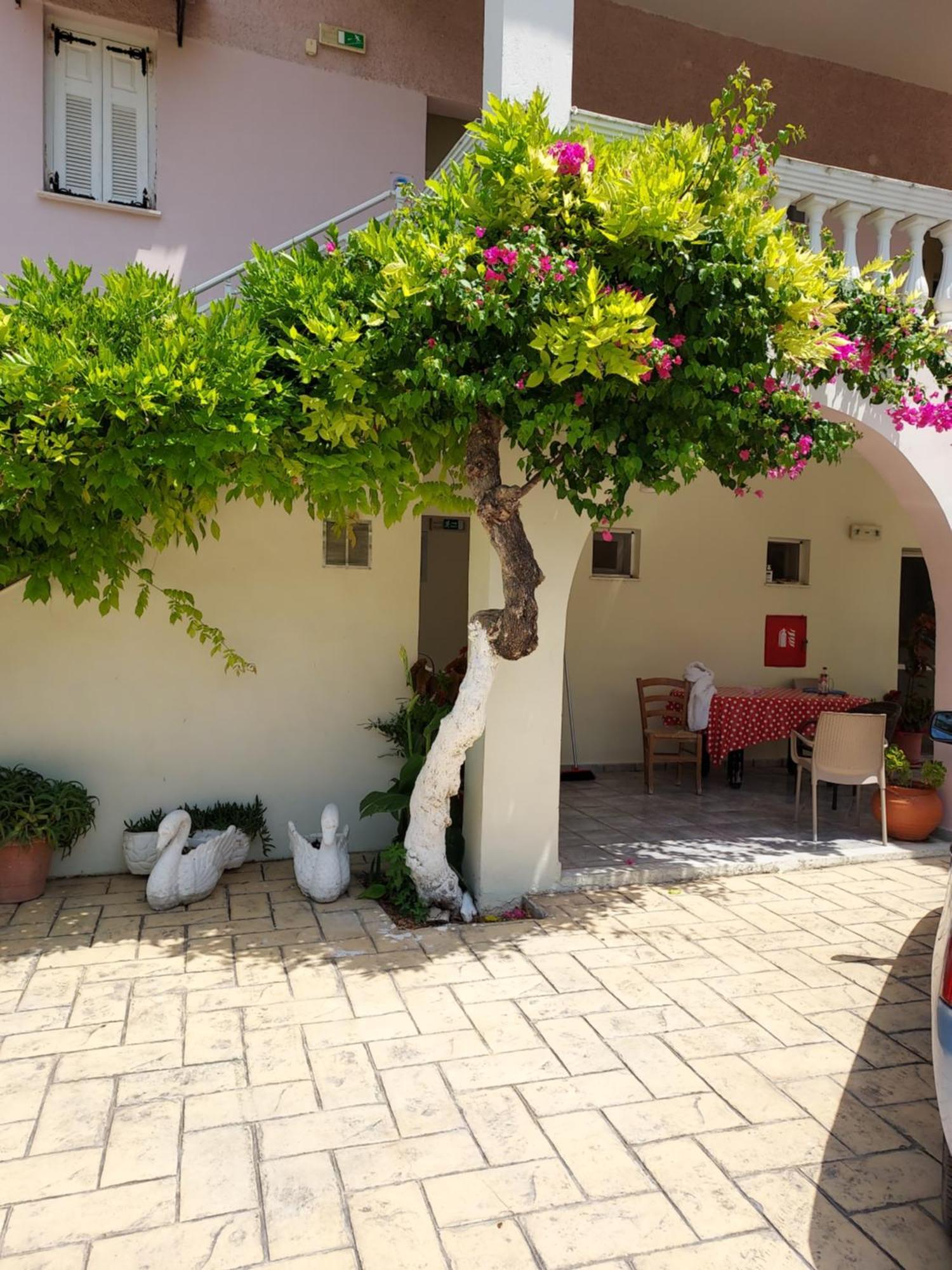 Canditas Studios Tsilivi  Bagian luar foto